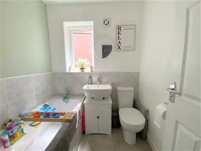 Picture 16